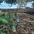 Au tour du monde 17.  Costa Rica
