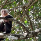 Au tour du monde 19 : côté pacifique