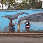 Fin de notre séjour et premier bilan Costa Rica