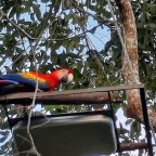 Poursuite de notre traversée du Costa Rica